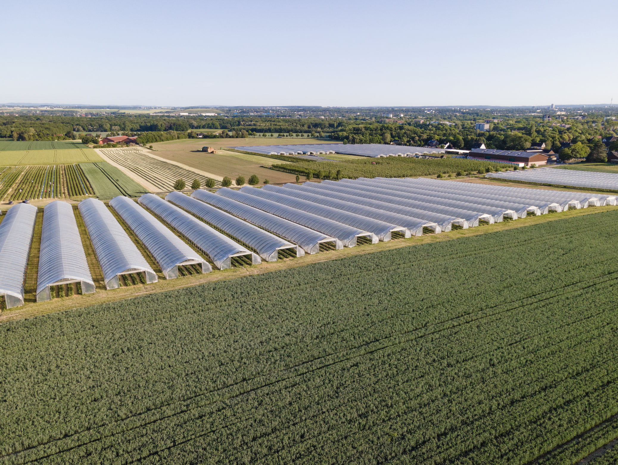 Bildschirmfoto 2021-01-19 um 13.25.58