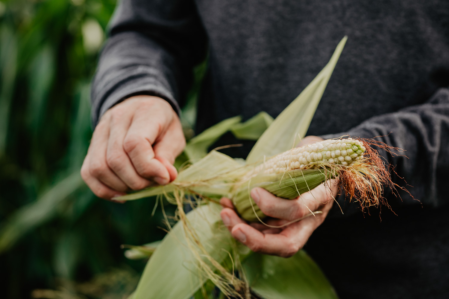 Food- & Stilllife Fotografie